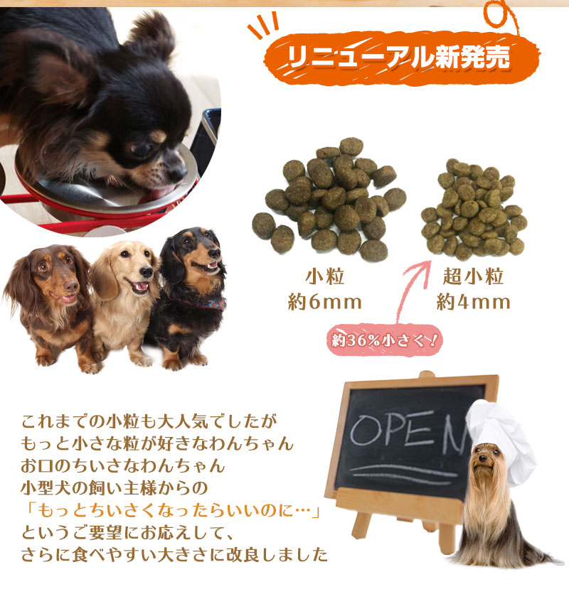 デイリーフォルツア