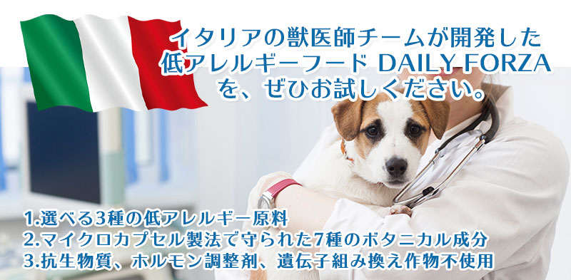 デイリーフォルツア