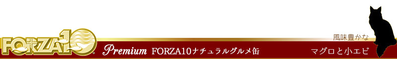FORZA10 premium (フォルツァディエチプレミアム 風味豊かな マグロと小エビ)