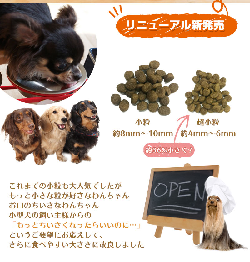 デイリーフォルツア