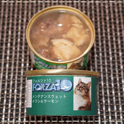 イワシ&サーモン