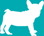 犬
