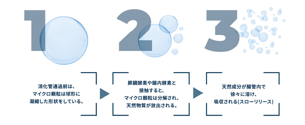 分解