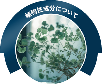 植物性成分について